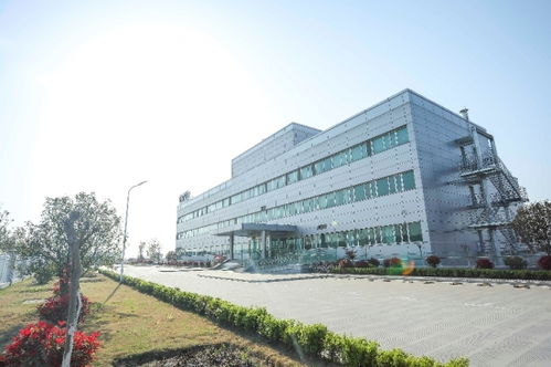 關注世界環境日 博西家電踐行可持續發展領導者的堅定承諾