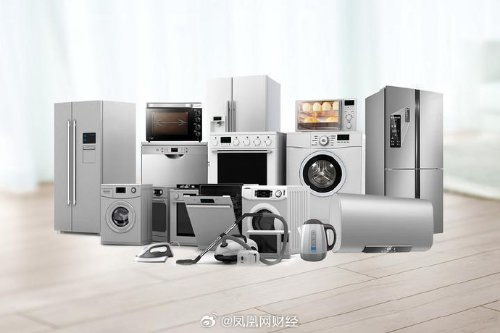 董明珠曾想讓舊家電強制報廢 家電協會理事長表認同