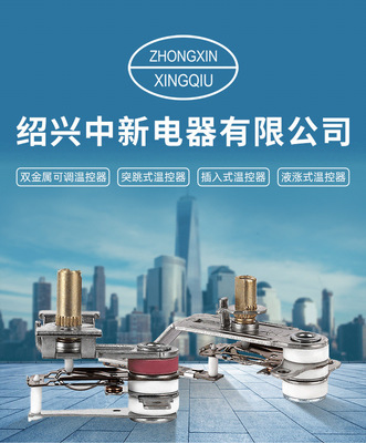 中新電器:溫控器領跑者煉成記